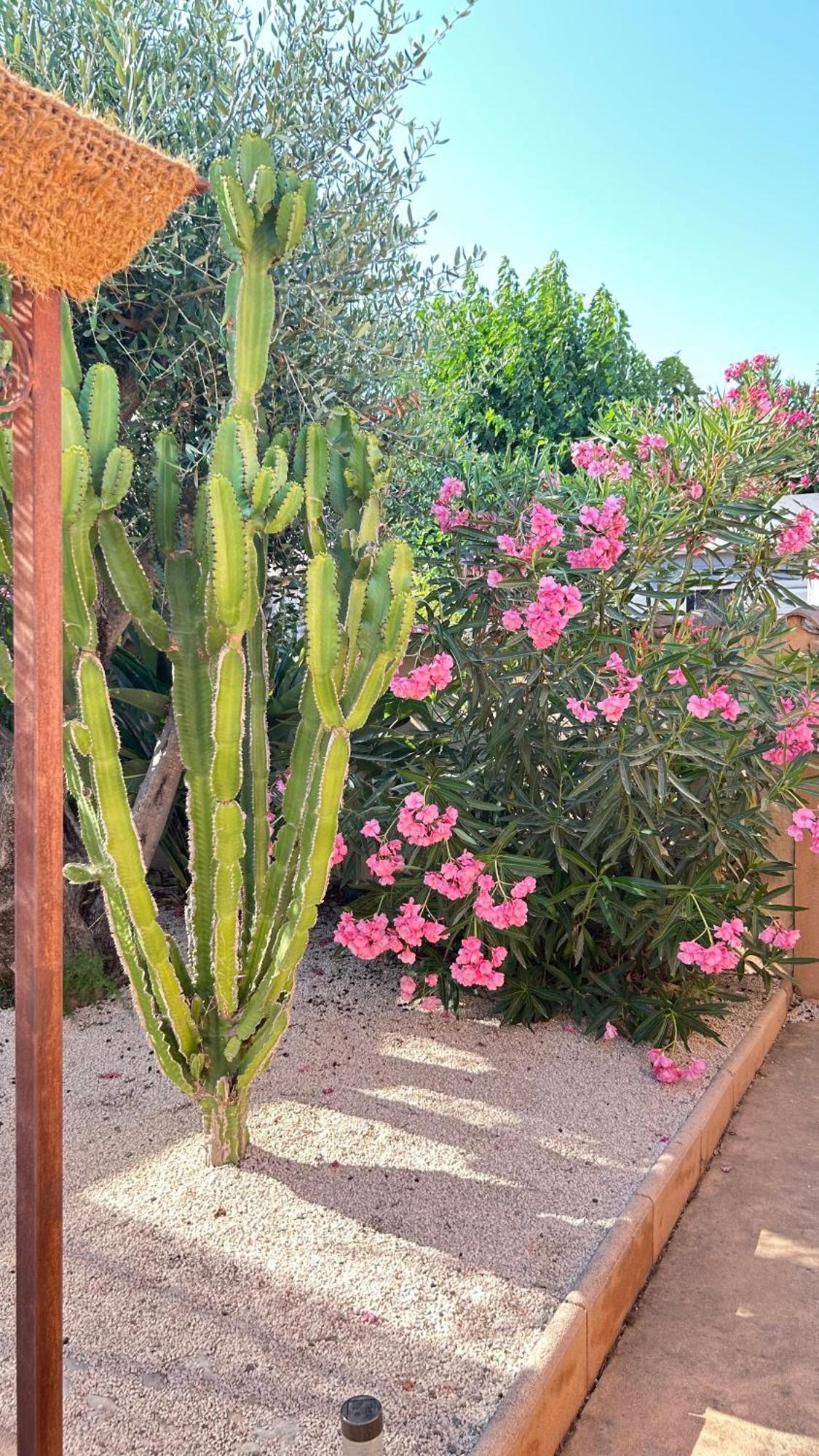 2 Hebergements - 10 Couchages - Parking, Piscine, Jacuzzi - Convivialite Roquebrune-sur-Argens Exterior foto